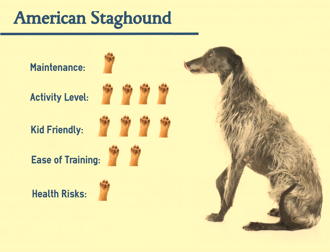 American Staghound - Smart Pet Care Hub